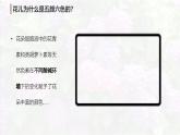 10.1溶液的酸碱性（课件）-2024-2025学年九年级化学下册