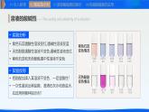 10.1溶液的酸碱性（课件）-2024-2025学年九年级化学下册