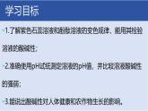 第十单元溶液的酸碱性课件-九年级化学人教版2024下册
