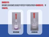 第十单元溶液的酸碱性课件-九年级化学人教版2024下册