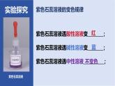 第十单元溶液的酸碱性课件-九年级化学人教版2024下册