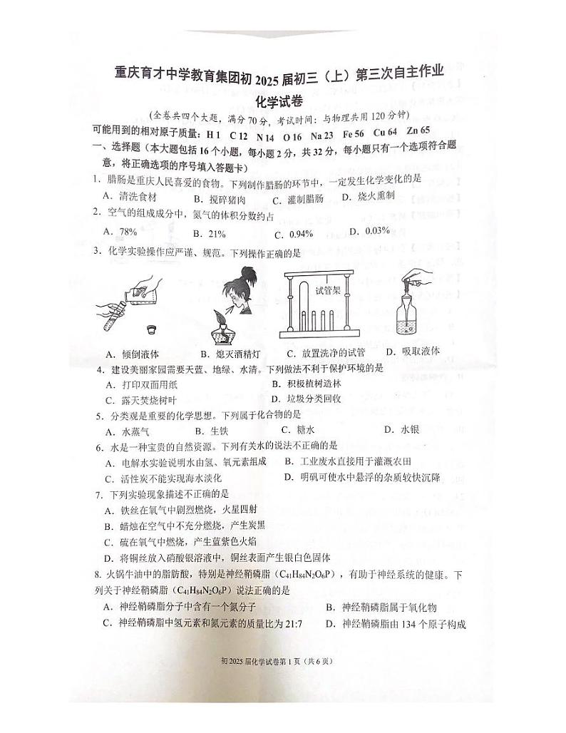重庆市九龙坡区育才中学校2024-2025学年九年级上学期12月月考化学试题第1页
