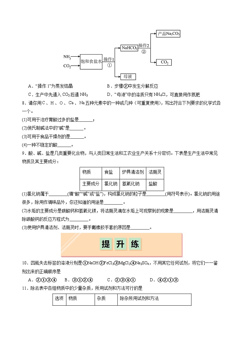 8.4 几种重要的盐（第1课时）（练习）第2页