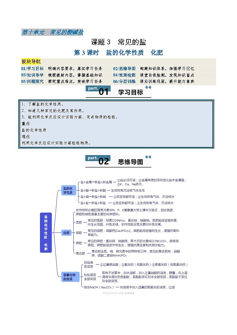 10.3 常见的盐（第3课时）-知识点梳理+练习第1页