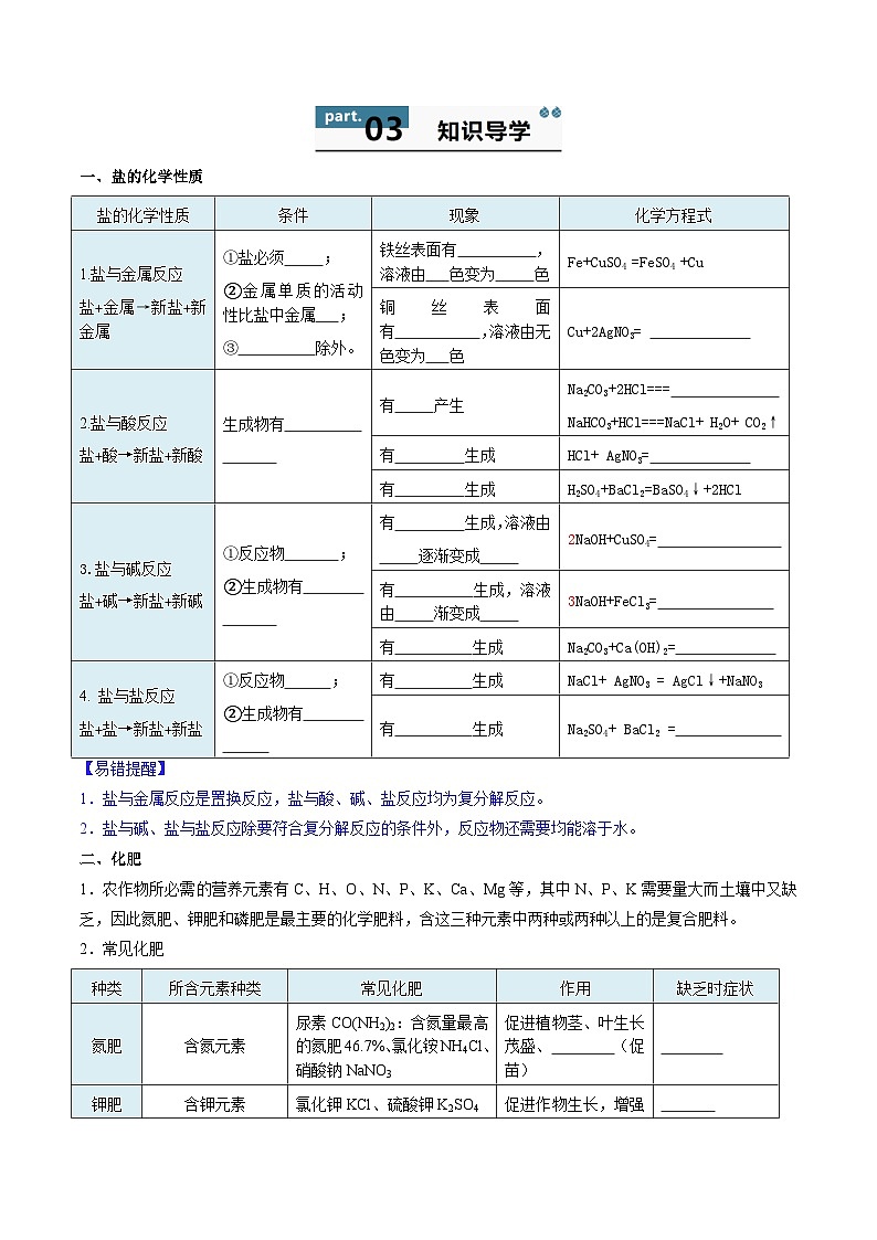 10.3 常见的盐（第3课时）-知识点梳理+练习第2页