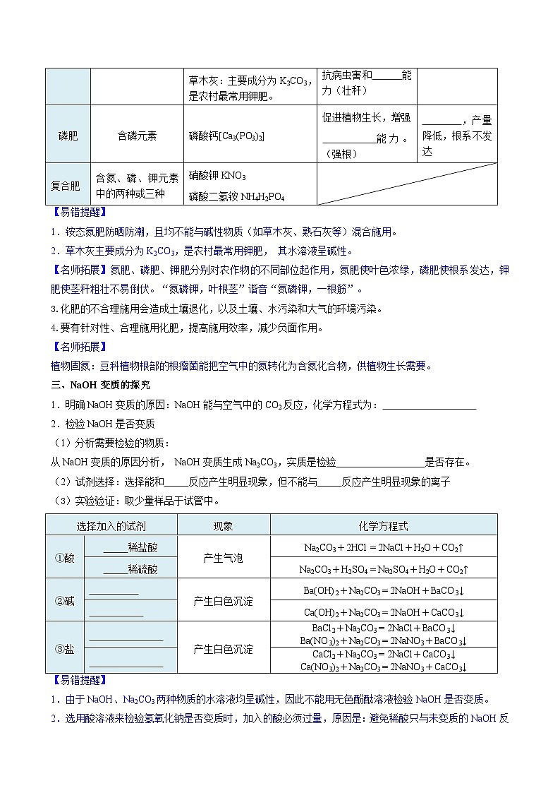 10.3 常见的盐（第3课时）-知识点梳理+练习第3页