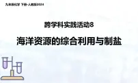 人教版（2024）九年级下册（2024）跨学科实践活动8 海洋资源的综合利用与制盐课堂教学ppt课件
