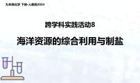 人教版(2024)九年级下册(2024)跨学科实践活动8 海洋资源的综合利用与制盐课堂教学ppt课件