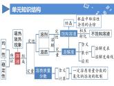 第九单元 溶液（单元复习课件）-九年级化学下册（人教版2024）