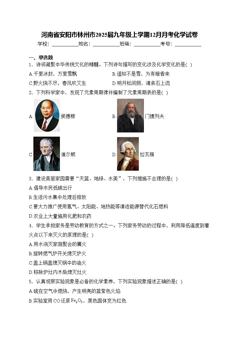 河南省安阳市林州市2025届九年级上学期12月月考化学试卷(含答案)第1页