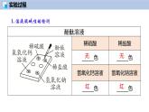 第8章 基础实验8 常见酸、碱的化学性质-初中化学九年级下册同步教学课件+同步练习（沪教版2024）