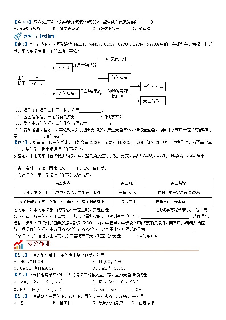 第12讲 盐的性质  复分解反应【寒假自学课】2025年九年级化学（人教版）学案第3页