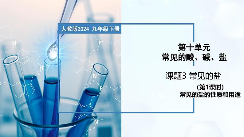 10.3 常见的盐（第1课时）-初中化学九年级下册同步教学课件（人教版2024）第1页