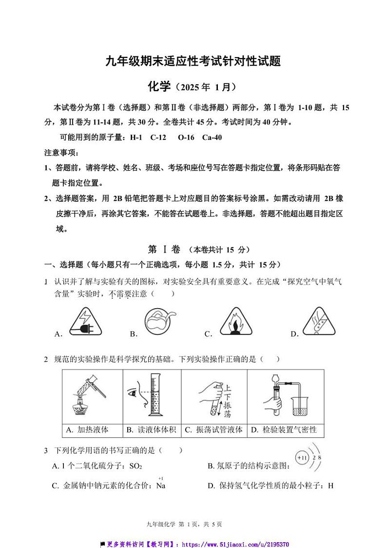 2024～2025学年广东省深圳市龙岗区期末九年级上适应性试卷化学试卷(含答案)第1页