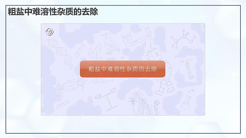 实验活动7 粗盐中难溶性杂质的去除-初中化学九年级下册同步教学课件（人教版2024）第4页