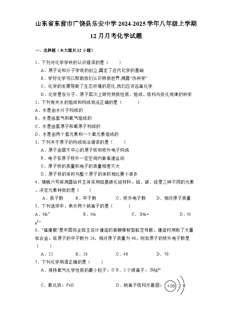 山东省东营市广饶县乐安中学2024-2025学年八年级上学期12月月考 化学试题（含解析）第1页