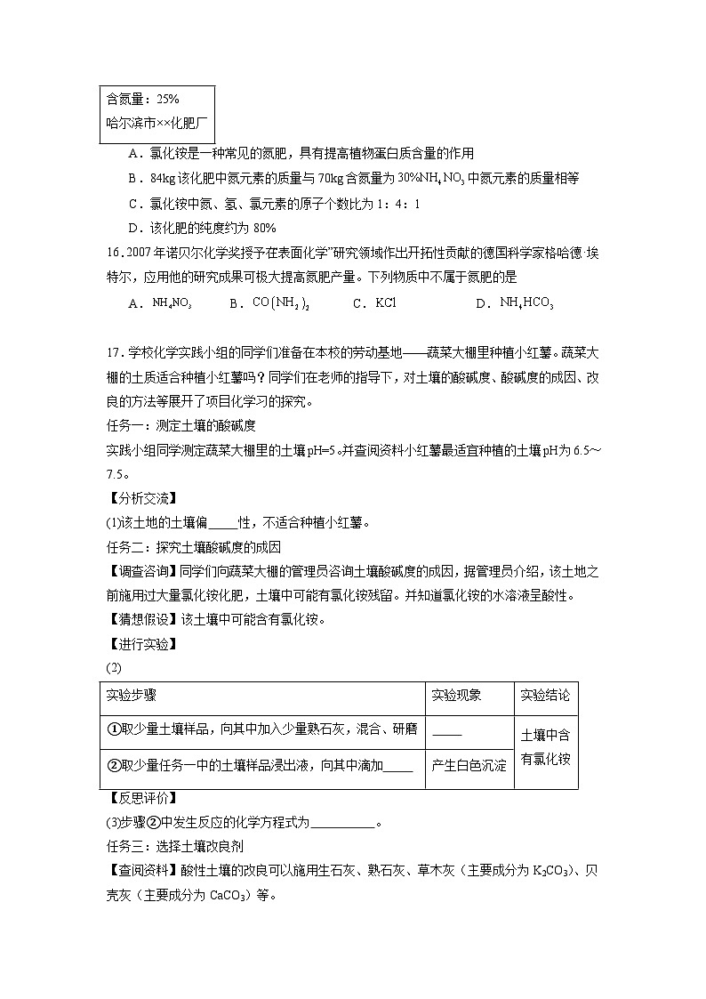 10.3常见的盐（第3课时）（练习）第3页