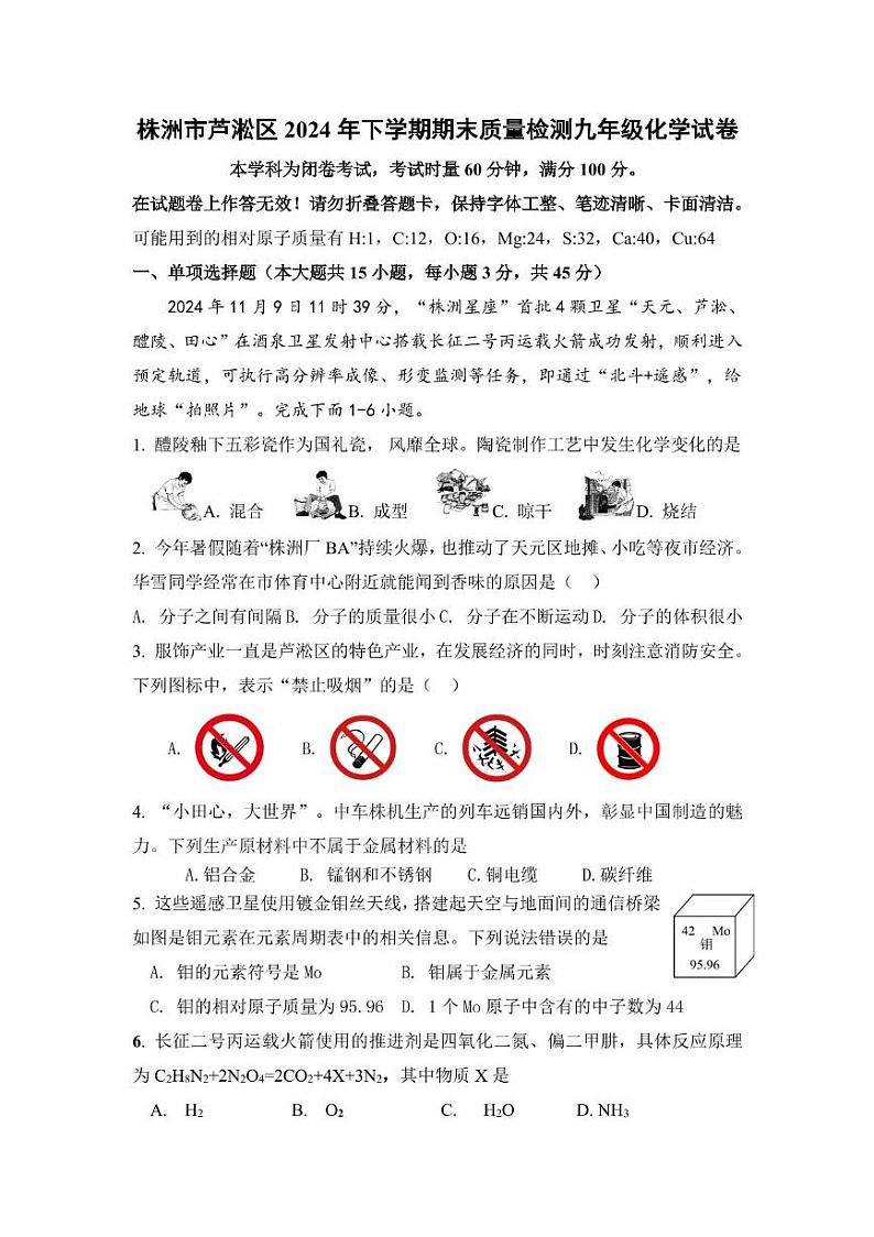 湖南省株洲市芦淞区2024-2025学年九年级上学期1月期末考试化学试题第1页
