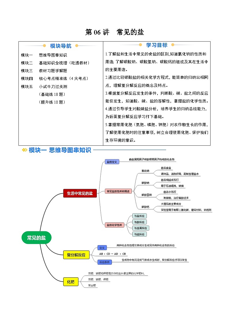 寒假预习-第06讲 常见的盐 (学生版) 2025年九年级化学寒假衔接讲练 (人教版)第1页