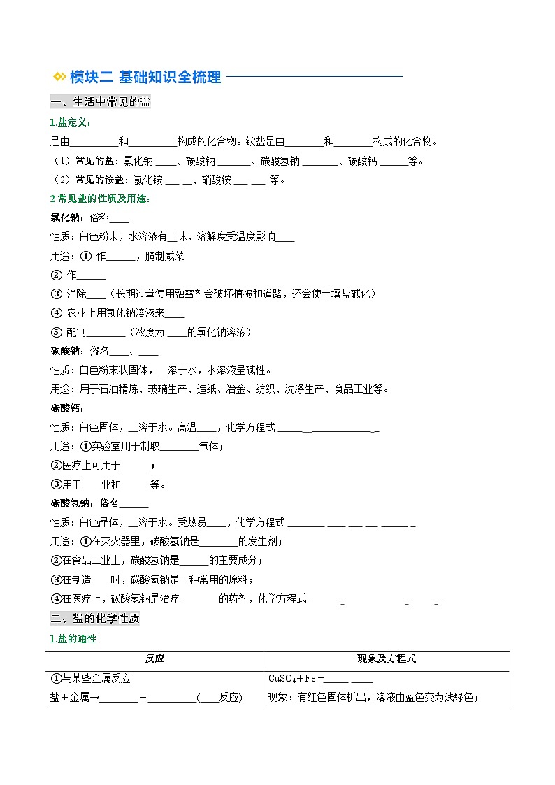 寒假预习-第06讲 常见的盐 (学生版) 2025年九年级化学寒假衔接讲练 (人教版)第2页
