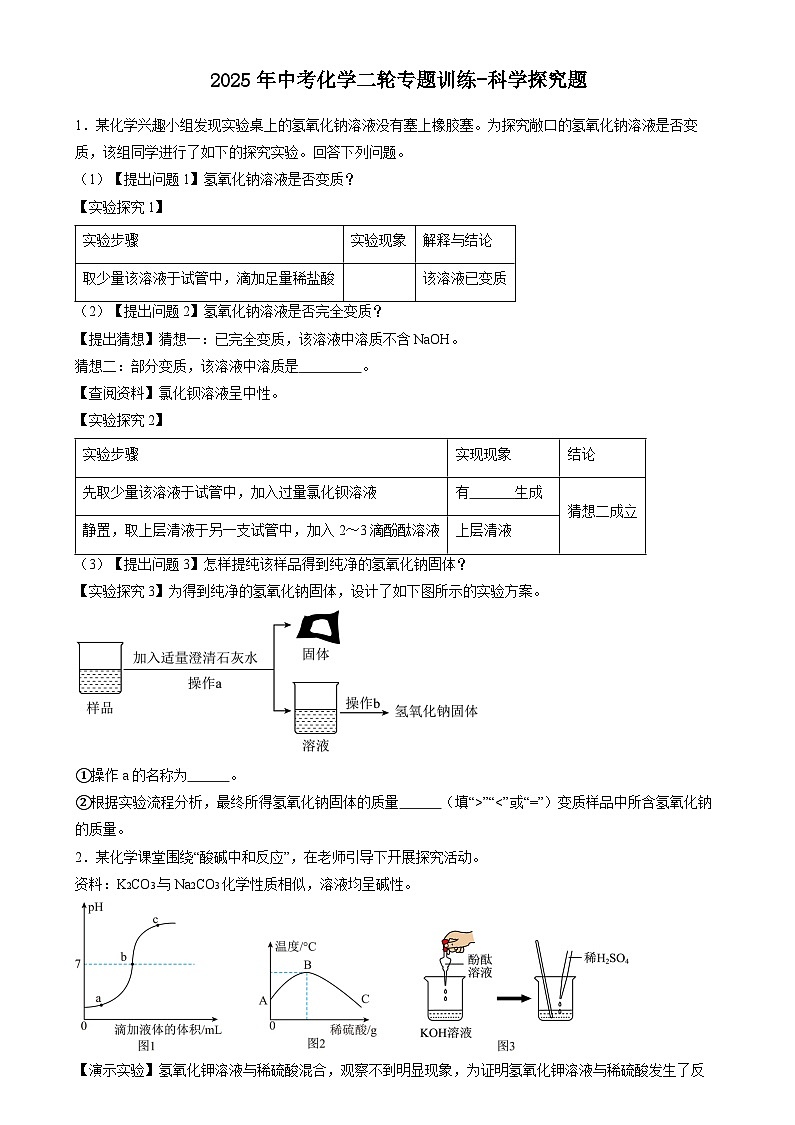 2025年中考化学二轮专题训练----科学探究题第1页