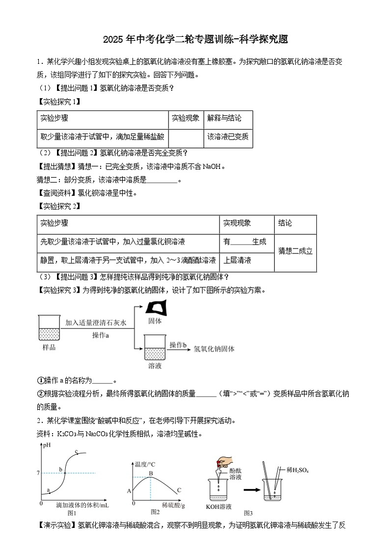2025年中考化学二轮专题训练----科学探究题第1页