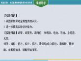 新人教版初中化學【課件】實驗活動5 常見金屬的物理性質和化學性質