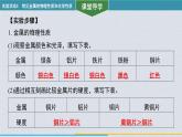 新人教版初中化學【課件】實驗活動5 常見金屬的物理性質和化學性質