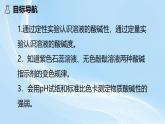 新人教版初中化学10-1 溶液的酸碱性  课件
