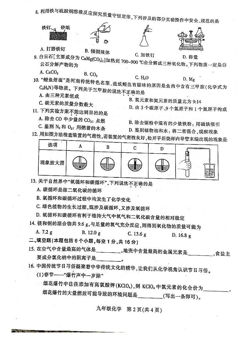平顶山市2024-2025学年九年级上学期期末调研化学试卷及答案第2页
