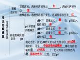 新人教版初中九年級下冊化學 第十單元常見的酸堿鹽復習課件