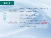 新人教版初中九年級下冊化學 第十一單元  化學與社會 復習課件