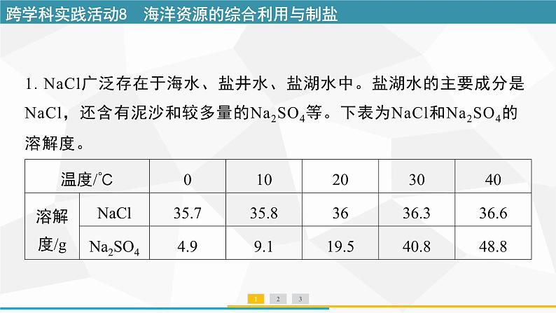 最新人教版九年级下册化学 第九单元 跨学科实践活动8 海洋资源的综合利用与制盐 课件第2页