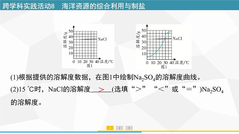 最新人教版九年级下册化学 第九单元 跨学科实践活动8 海洋资源的综合利用与制盐 课件第3页