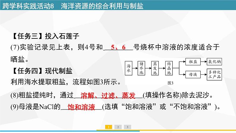 最新人教版九年级下册化学 第九单元 跨学科实践活动8 海洋资源的综合利用与制盐 课件第7页