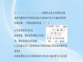 新人教版初中九年級下冊化學(xué) 實驗活動8常見酸、堿的化學(xué)性質(zhì)課件