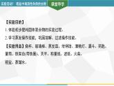新人教版初中化學(xué) 第九單元實(shí)驗(yàn)活動(dòng)7 粗鹽中難溶性雜質(zhì)的去除 課件