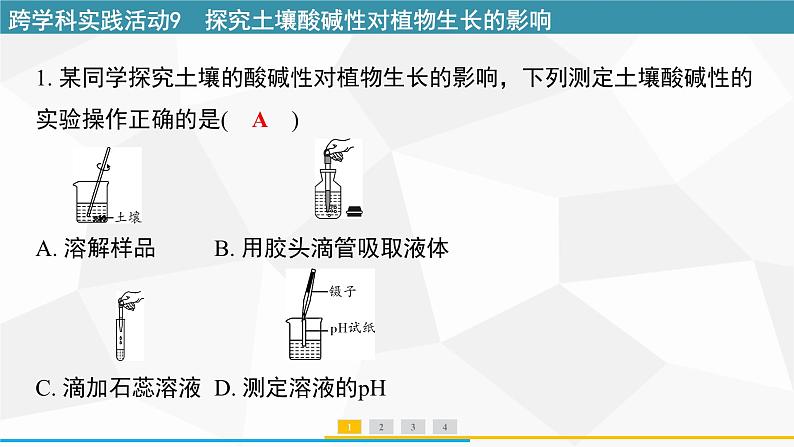 新人教版初中化学 第十单元跨学科实践活动9探究土壤酸碱性对植物生长的影响 课件第2页