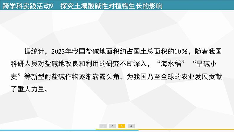 新人教版初中化学 第十单元跨学科实践活动9探究土壤酸碱性对植物生长的影响 课件第7页