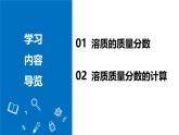 【核心素养】人教版化学九年级下册 课题3 溶质的质量分数（第1课时） 同步课件+同步教案+同步练习