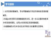 【核心素养】人教版化学九年级下册 课题1 溶液的酸碱性 同步课件+同步教案+同步练习
