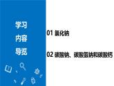 【核心素养】人教版化学九年级下册 课题3 常见的盐（第1课时） 同步课件+同步教案+同步练习