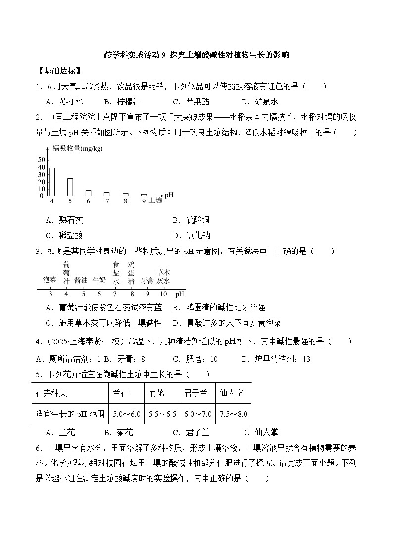 【核心素养】人教版化学九年级下册 《跨学科实践活动9 探究土壤酸碱性对植物生长的影响》分层作业（原卷版）第1页