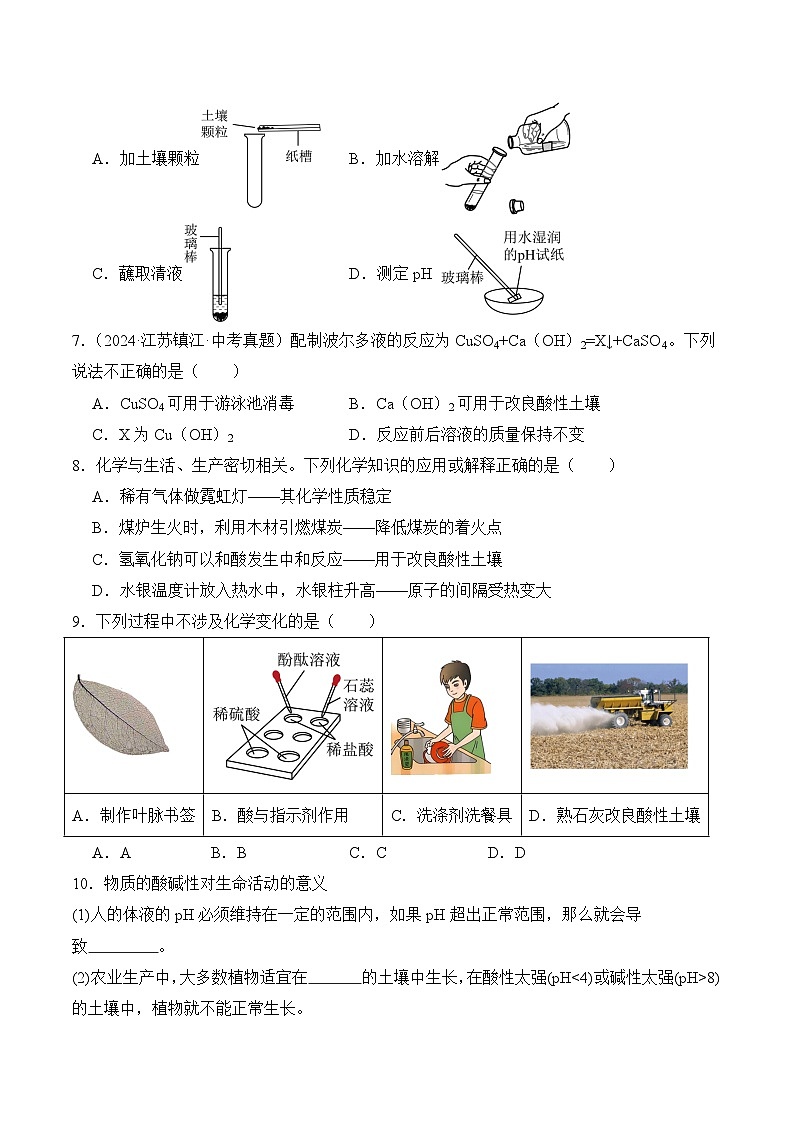 【核心素养】人教版化学九年级下册 《跨学科实践活动9 探究土壤酸碱性对植物生长的影响》分层作业（原卷版）第2页