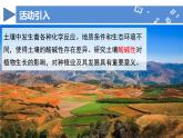 【核心素养】人教版化学九年级下册 跨学科实践活动9 探究土壤酸碱性对植物生长的影响 同步课件+同步教案+同步练习