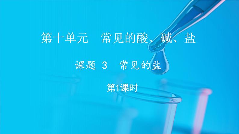 10.3 常见的盐 第1课时 (课件)-2024-2025学年九年级化学人教版（2024）下册第1页