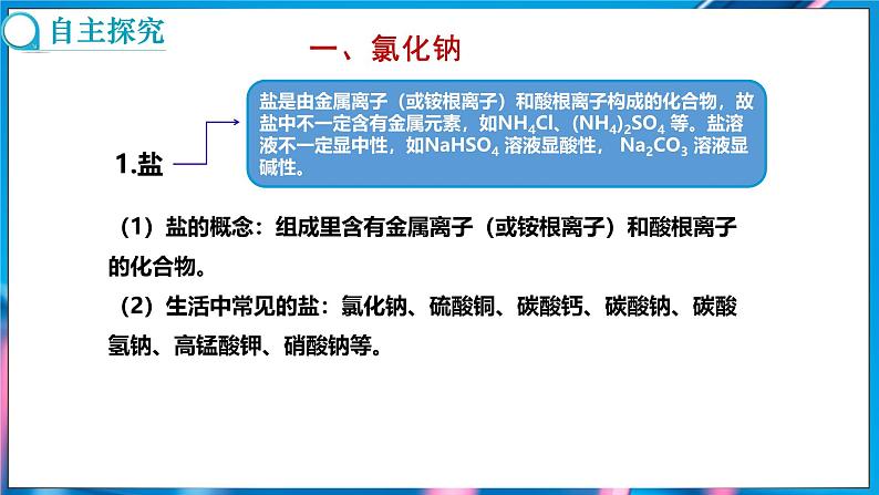 10.3 常见的盐 第1课时 (课件)-2024-2025学年九年级化学人教版（2024）下册第3页