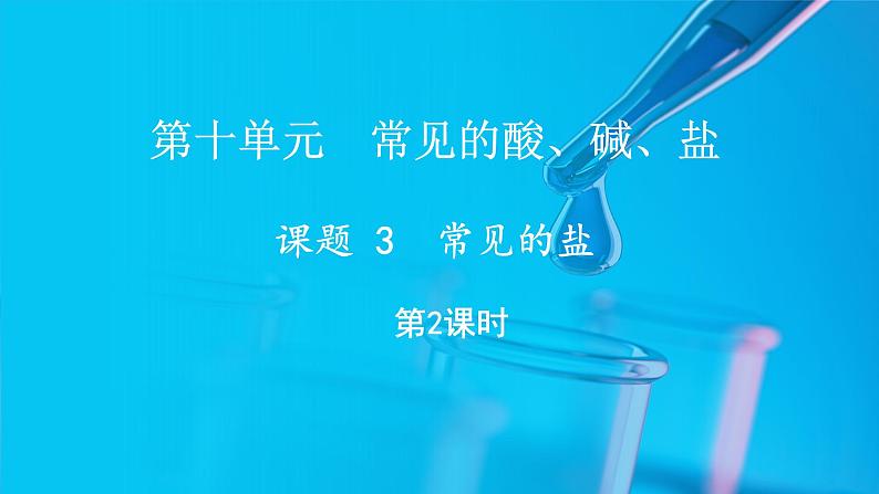 10.3 常见的盐 第2课时 (课件)-2024-2025学年九年级化学人教版（2024）下册第1页