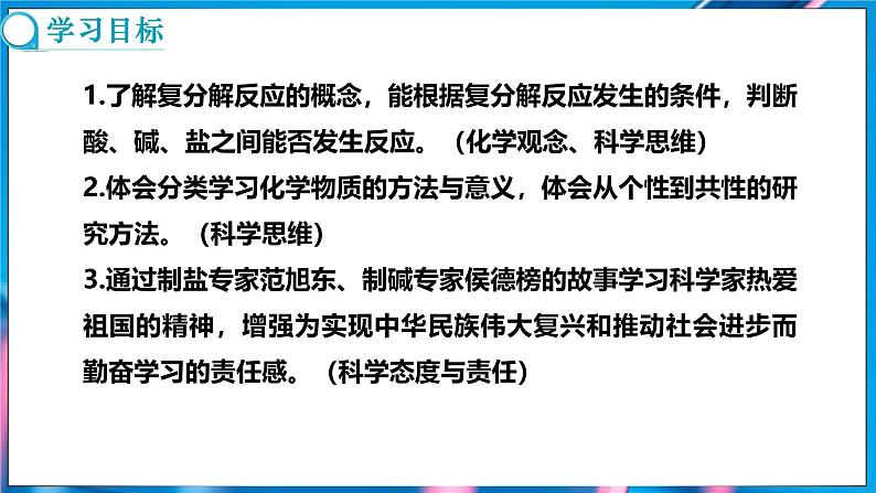 10.3 常见的盐 第2课时 (课件)-2024-2025学年九年级化学人教版（2024）下册第2页