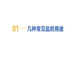 8.4 常见的盐-初中化学九年级下册同步教学课件+同步练习（科粤版2024）